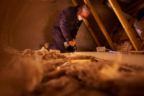 Best Crawl Space Insulation  in Trenton, MI